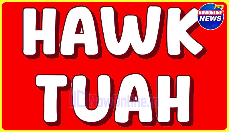 Hawk Tuah